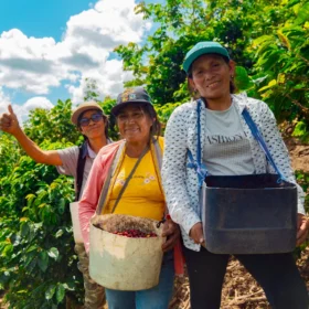 Kvinnorna som odlar kaffe i Peru