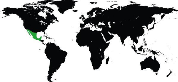 Karta över Mexico